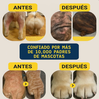 DermoPet™ Sin picor y sin estrés