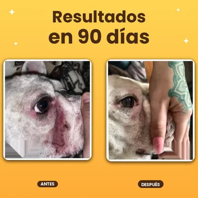 DermoPet™ Sin picor y sin estrés